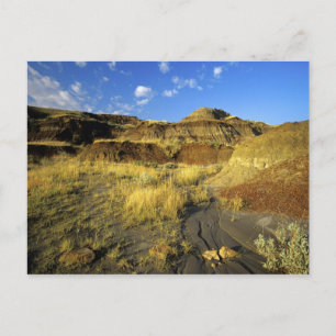 Carte Postale Badlands dans le parc provincial Dinosaur en Alber