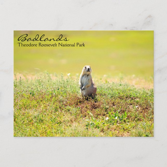 Carte postale Badlands of North Dakota (Devant)