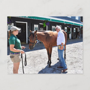 Carte Postale Baffert Checking et le Hood
