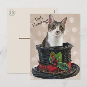 Carte postale Bah Humbag Tito le chat