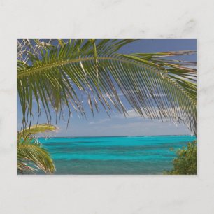 Carte Postale BAHAMAS, Abacos, Loyalist Cays, Man O'War Cay :