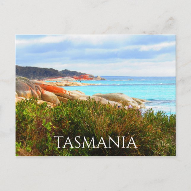 Carte Postale baie binlong de tasmanien (Devant)