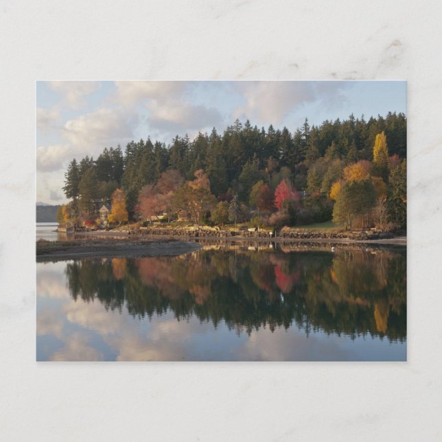 Carte Postale Baie de Fletcher (Devant)