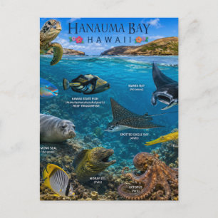 Carte Postale Baie de Hanauma Hawaii