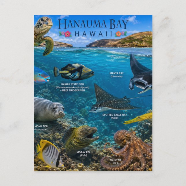 Carte Postale Baie de Hanauma Hawaii (Devant)
