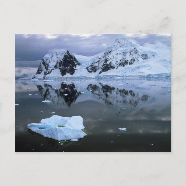 Carte Postale Baie de Paradise, Antarctique (Devant)