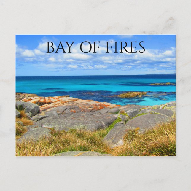 Carte Postale baie de tir de tasmanien (Devant)