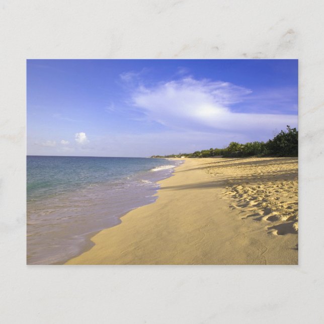 Carte Postale Baie Longue Long Bay Beach, St Martin, (Devant)