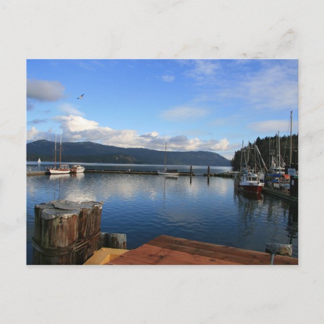 Carte Postale Baie Mill (Devant)