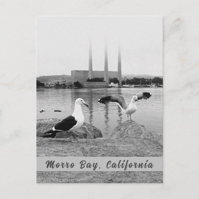 Carte Postale Baie Morro en noir et blanc (Devant)