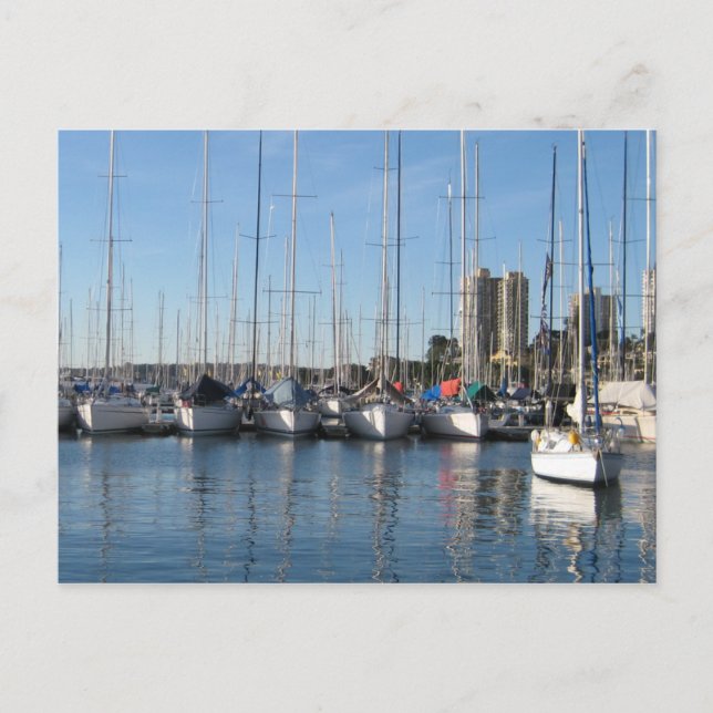 Carte Postale Baie Rushcutters (Devant)