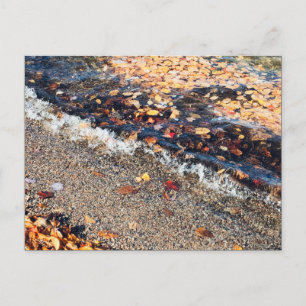 Carte Postale baie scolaire à l'automne