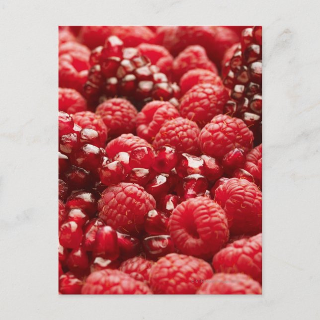 Carte Postale Baies rouges saines et nutritives (Devant)