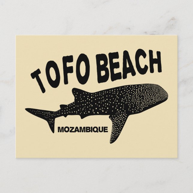 Carte Postale Baignade avec requins de baleine - Tofo Beach Moza (Devant)