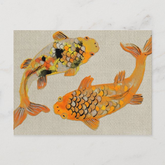 Carte Postale Baignade colorée de poissons Koi (Devant)