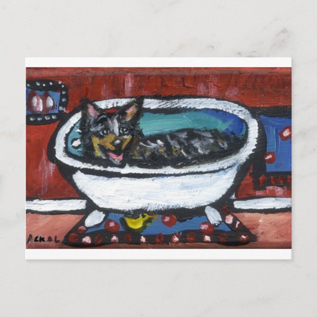 Carte Postale Bain de chien de bétail australien (Devant)