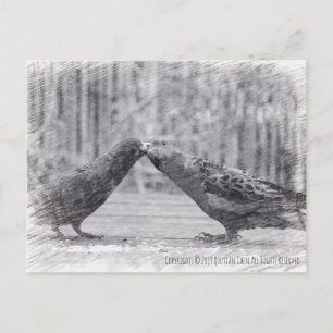 Carte Postale Baiser les oiseaux