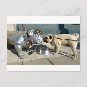 Carte Postale Baisers carlins