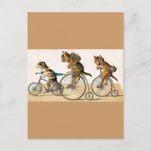 Carte Postale Balade à bicyclette