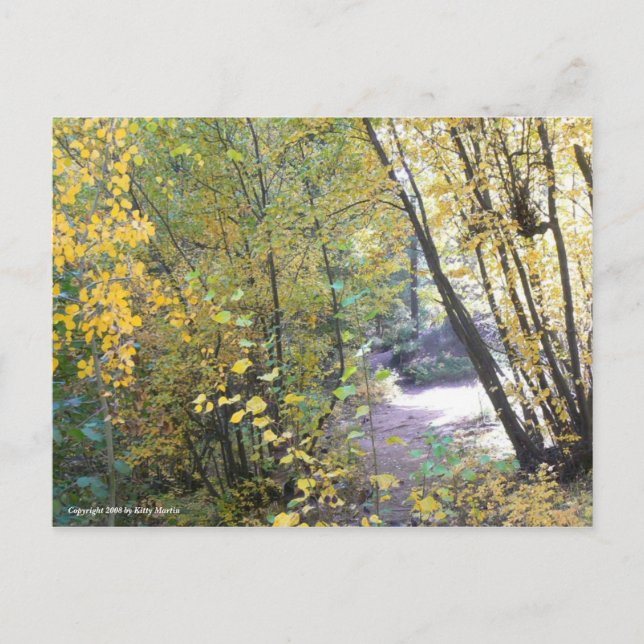 Carte Postale Balade dans les bois (Devant)