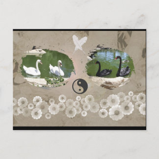 Carte postale Balance des cygnes