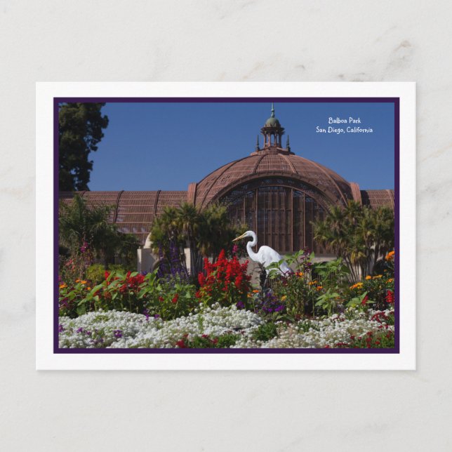 Carte Postale Balboa Park Botanical Building Egret Flowers Frame (Devant)