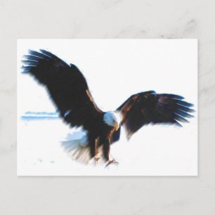 Carte Postale Bald American Eagle Landing