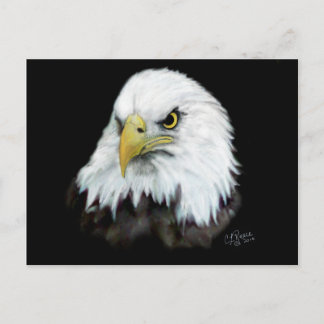Carte postale Bald Eagle 2