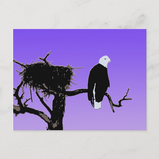Carte Postale Bald Eagle at Sunset - Art original de la faune (Devant)