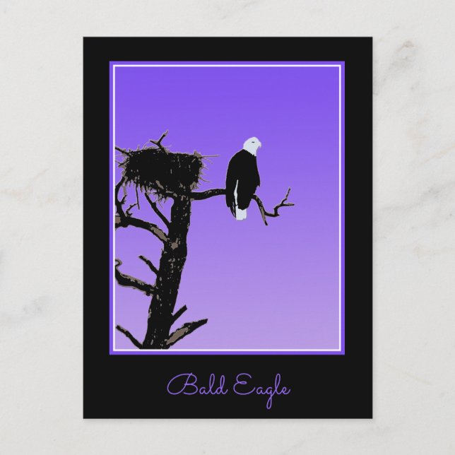 Carte Postale Bald Eagle at Sunset - Art original de la faune (Devant)