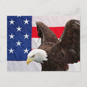 Carte Postale Bald Eagle avec le drapeau américain