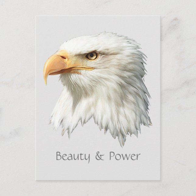 Carte Postale Bald Eagle Beauté & Puissance personnalisable (Devant)