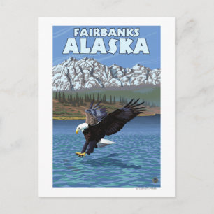 Carte Postale Bald Eagle Diving - Fairbanks, Alaska