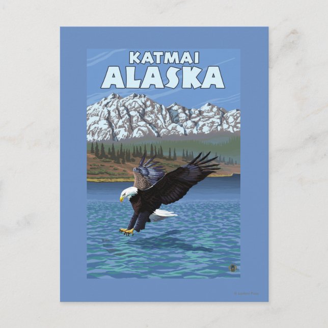 Carte Postale Bald Eagle Diving - Katmai, Alaska (Devant)