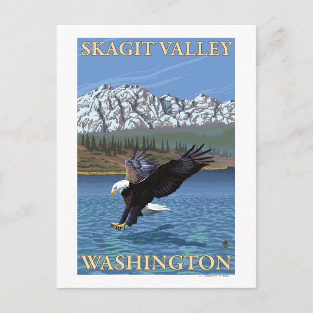 Carte Postale Bald Eagle Diving - Skagit Valley, Washington (Devant)