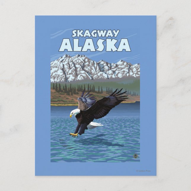 Carte Postale Bald Eagle Diving - Skagway, Alaska (Devant)