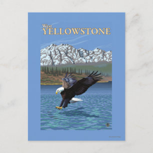Carte Postale Bald Eagle Diving - West Yellowstone, MT