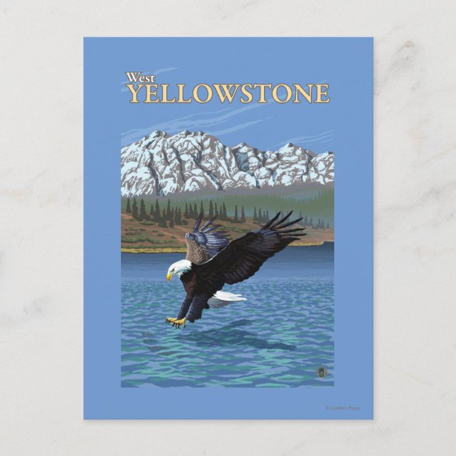 Carte Postale Bald Eagle Diving - West Yellowstone, MT (Devant)