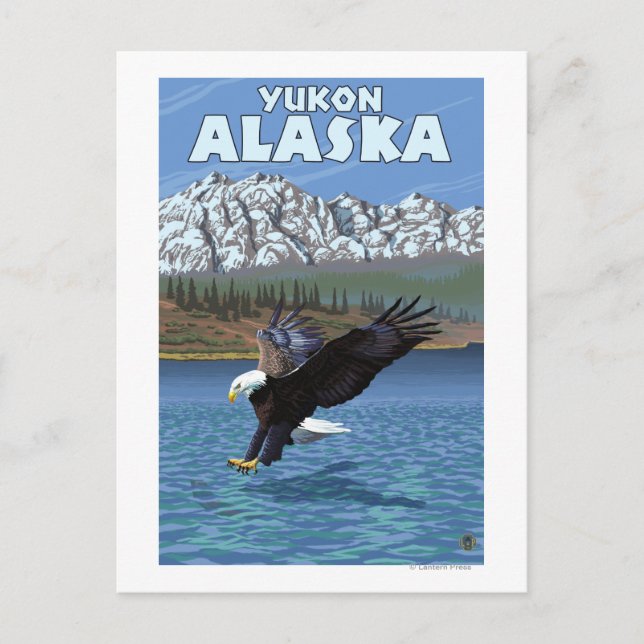 Carte Postale Bald Eagle Diving - Yukon, Alaska (Devant)