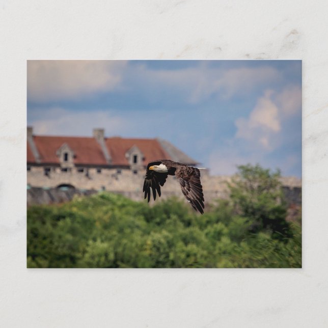 Carte Postale Bald Eagle en passant par Fort Ticondéroga (Devant)