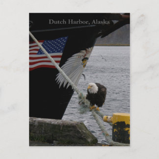 Carte Postale Bald Eagle perché sur une ligne d'amarrage, hollan