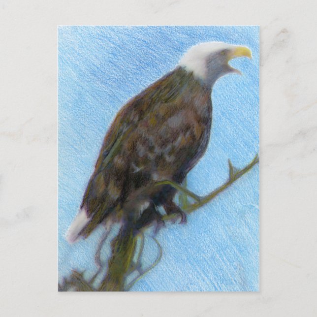 Carte Postale Bald Eagle Screaming in a Tree (Devant)
