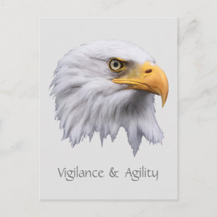 Carte Postale Bald Eagle Vigilance & Agilité personnalisable