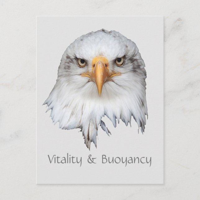 Carte Postale Bald Eagle Vitalité et Bouée personnalisable (Devant)
