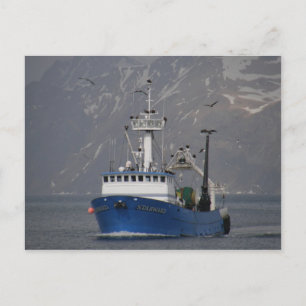 Carte Postale Bald Eagles Accueillir Starward Home