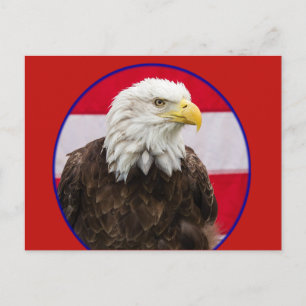 Carte Postale Bald Est Belle