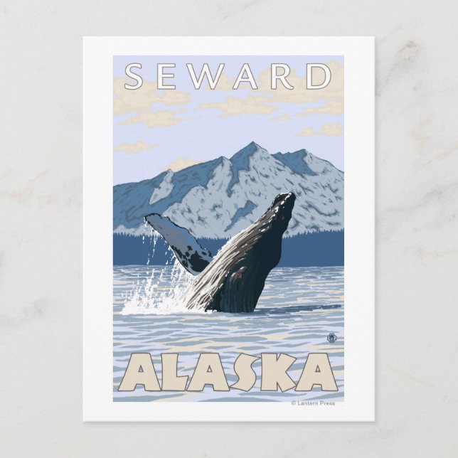 Carte Postale Baleine à bosse - Eau douce, Alaska (Devant)