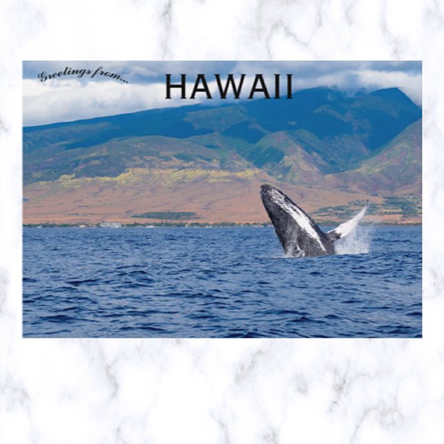Carte Postale Baleine à bosse faisant une cabriole à Lahaina Haw (Créateur téléchargé)