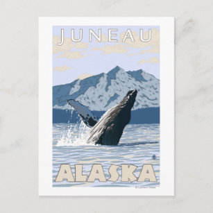 Carte Postale Baleine à bosse - Juneau, Alaska