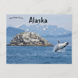 Carte Postale Baleine à bosse Parc national Kenai Fjords Alaska